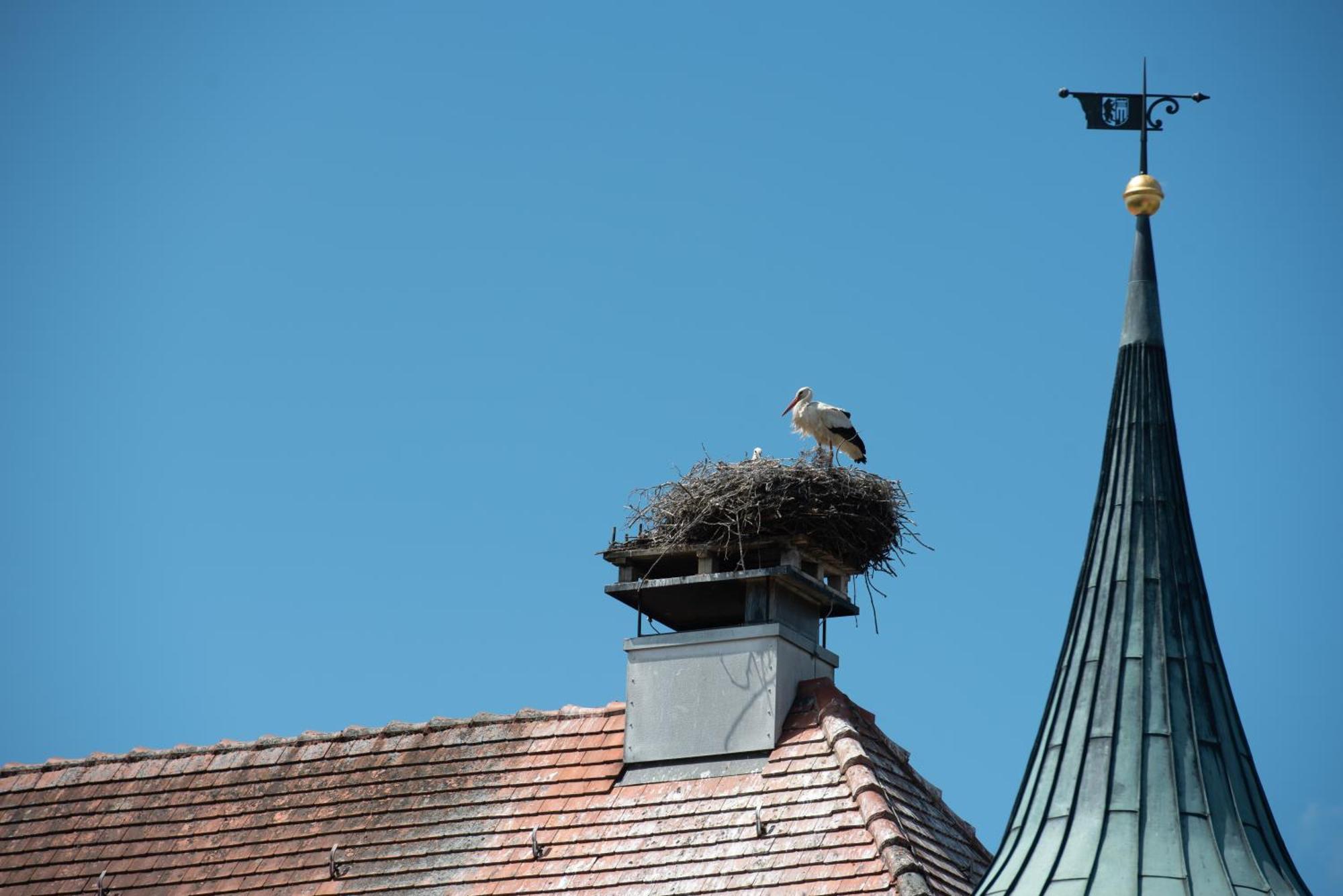 Zum Schloss